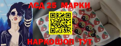 шишки Будённовск