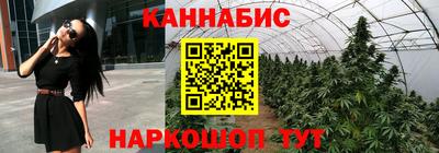 шишки Будённовск