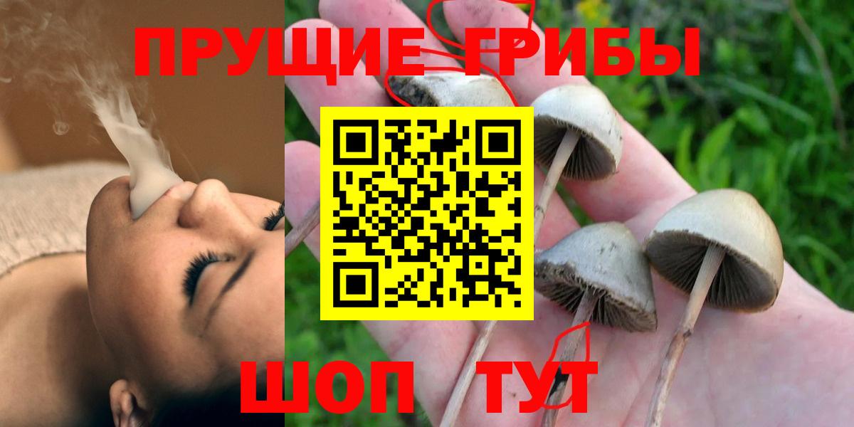 Санкт-Петербург  Псилоцибиновые грибы Psilocybe  Псилоцибиновые грибы Psilocybine cubensis  Вход с VPN 